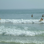 DSCF0231