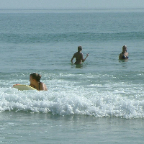 DSCF0232