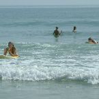 DSCF0233