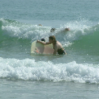 DSCF0235