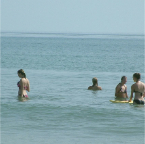 DSCF0241