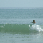 DSCF0242
