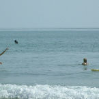 DSCF0243