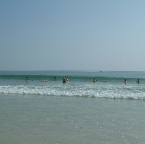 DSCF0247