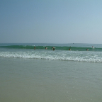 DSCF0248