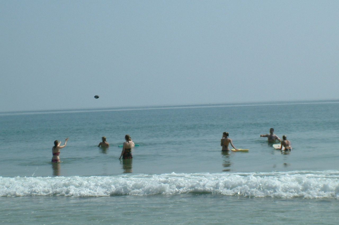 Loading Image