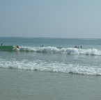 DSCF0266
