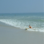 DSCF0268