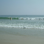 DSCF0271