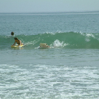 DSCF0273