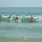 DSCF0281