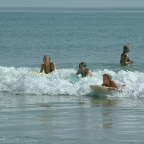 DSCF0295