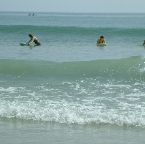DSCF0310