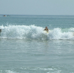 DSCF0312