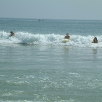 DSCF0313