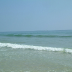 DSCF0320