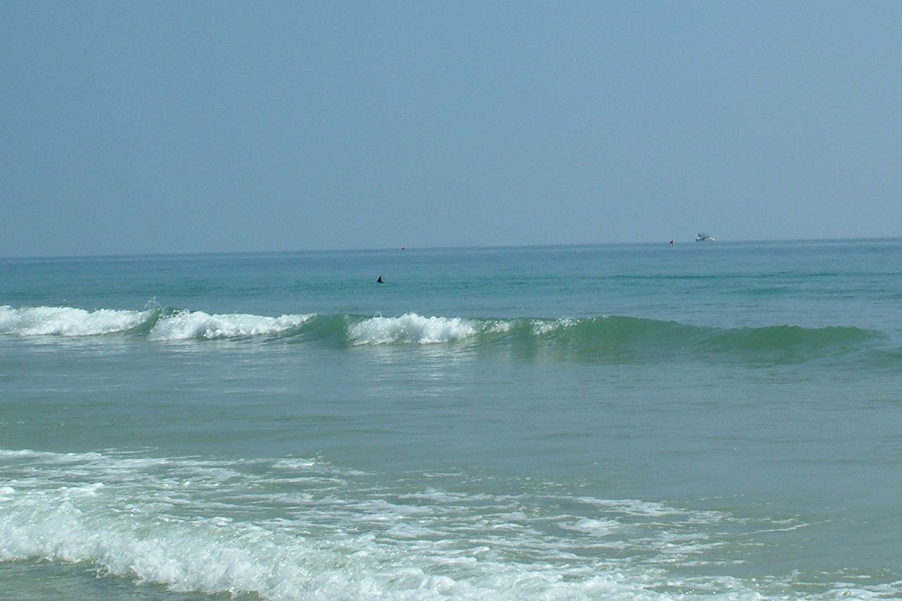 Loading Image