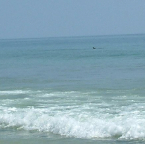 DSCF0323