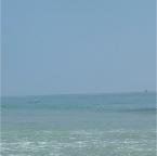 DSCF0325