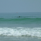 DSCF0339