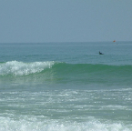 DSCF0341