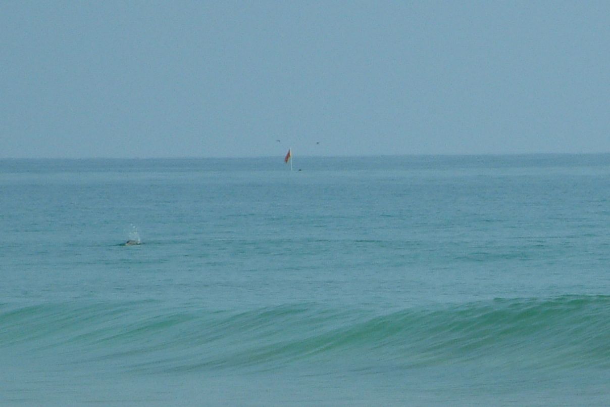 Loading Image