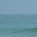 DSCF0343