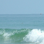 DSCF0344