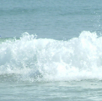 DSCF0347