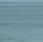 DSCF0348