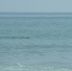 DSCF0349