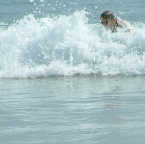 DSCF0358