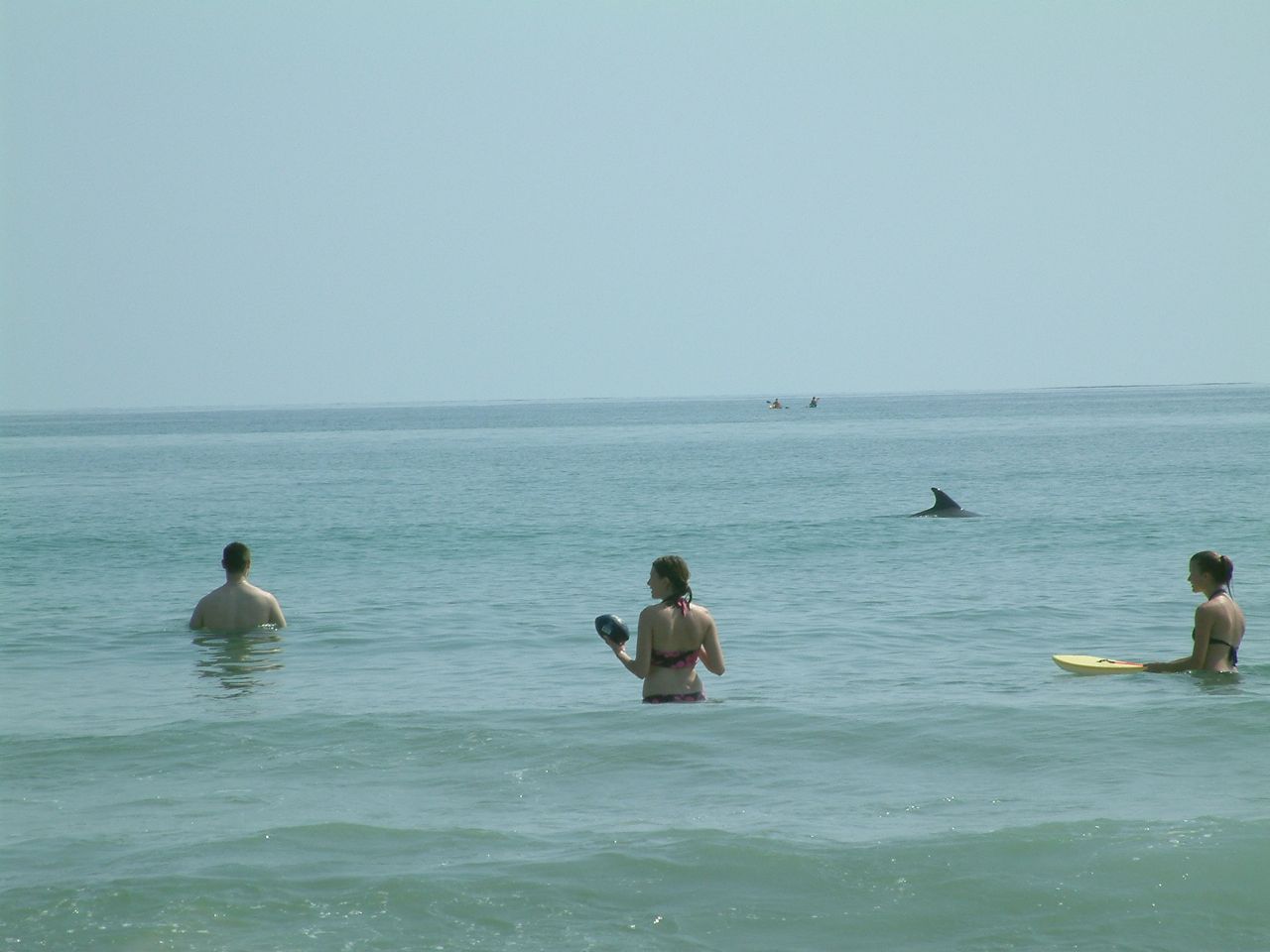 Loading Image