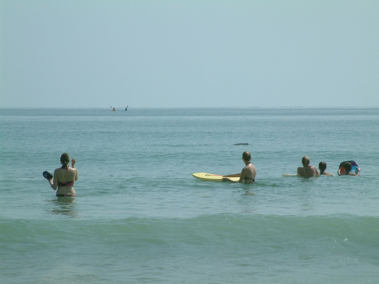 Loading Image