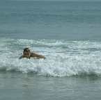 DSCF0376