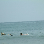 DSCF0387