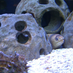 DSCF0391