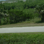 DSCF0403