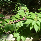 DSCF0406