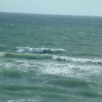 DSCF0431