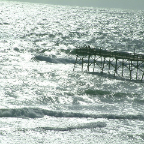 DSCF0433