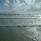 DSCF0435