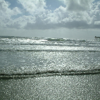 DSCF0436