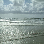 DSCF0437