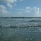 DSCF0439