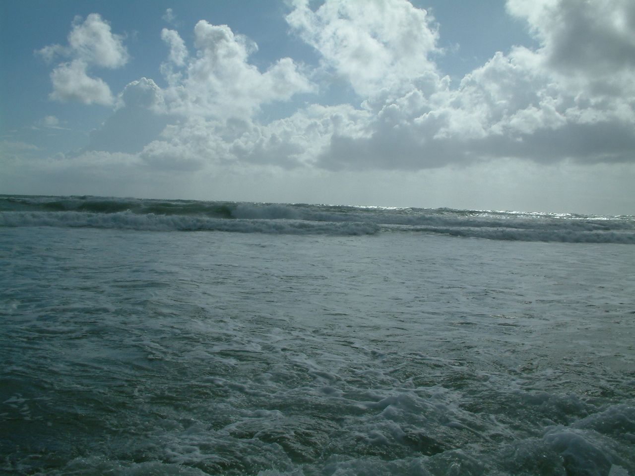 Loading Image