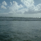 DSCF0441