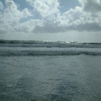 DSCF0442