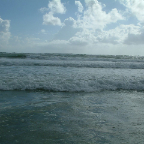 DSCF0443
