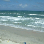 DSCF0461